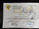 Certificat de Technicien Sanitaire Apicole de Yannick Picard