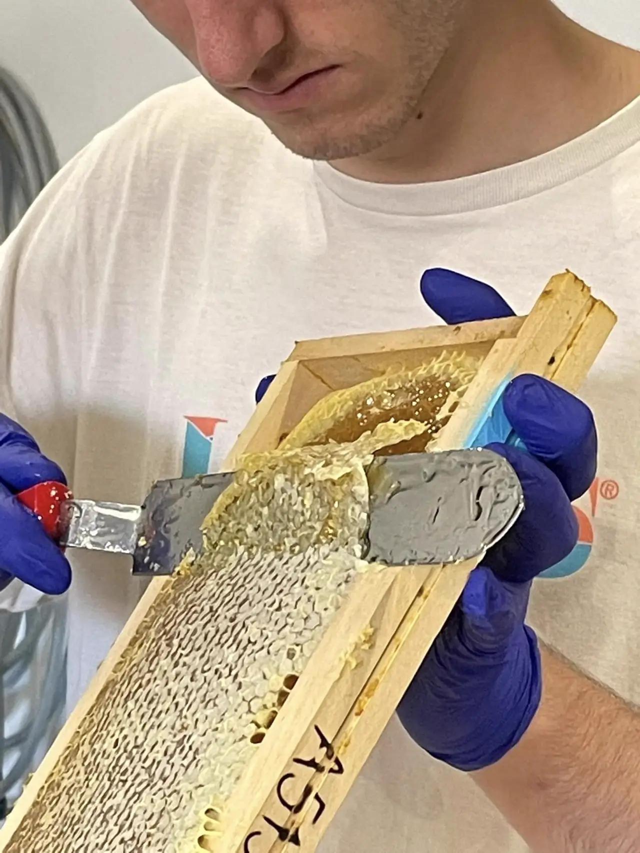 Extraction artisanale du miel