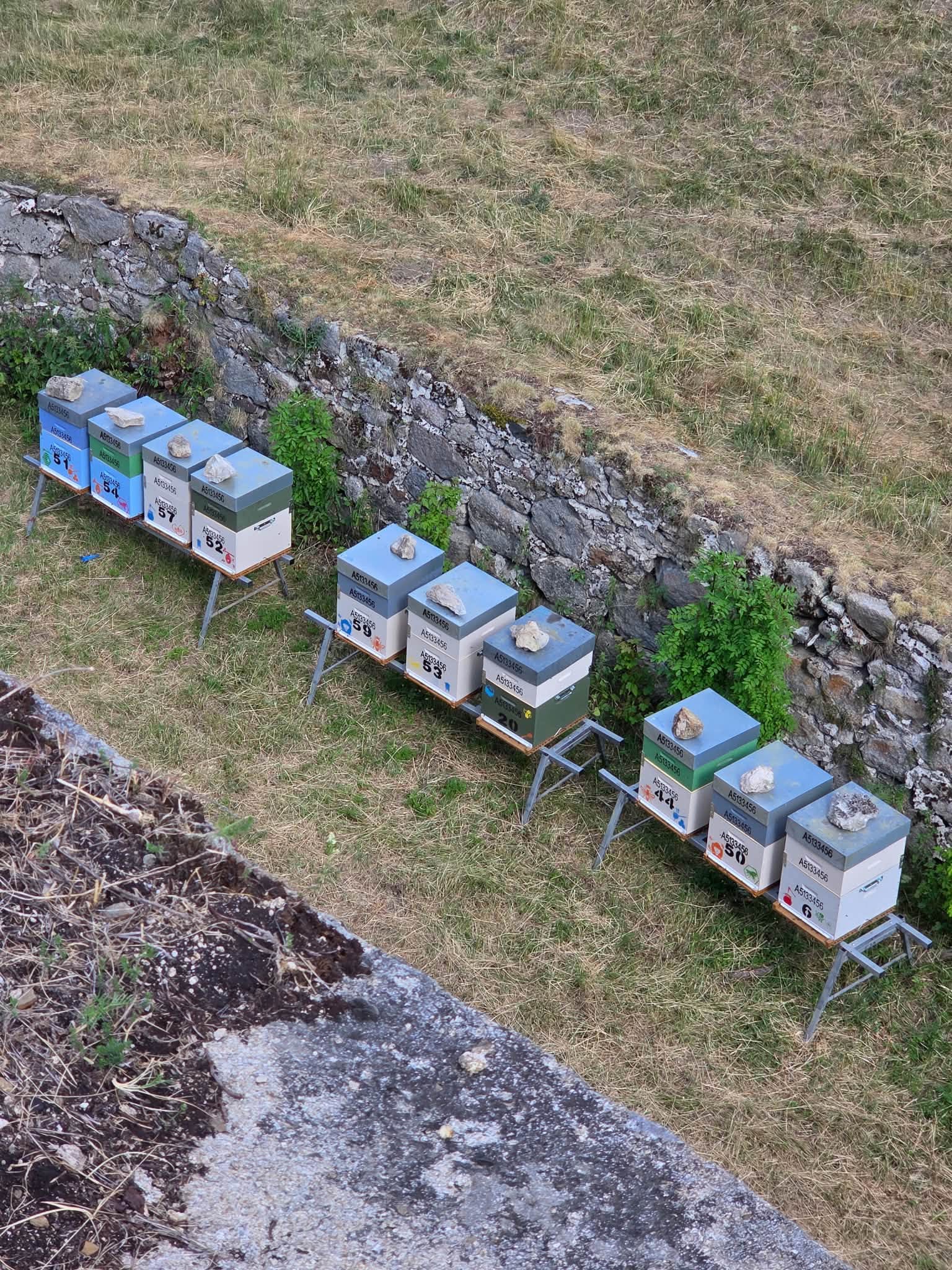 Ruchers de la Miellerie de Pia dans les Pyrénées-Orientales