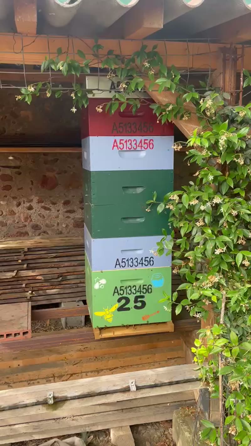 Mise en place d'une hausse sur une ruche